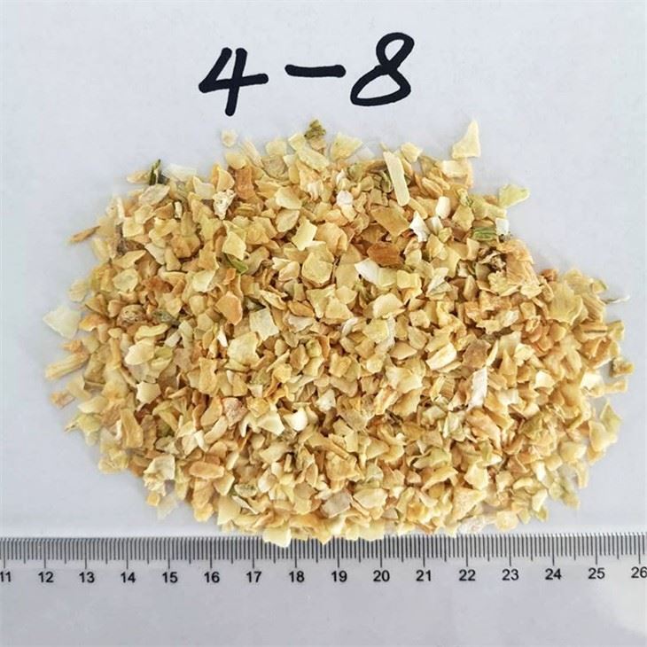 Dried Onion In the Sun (1)